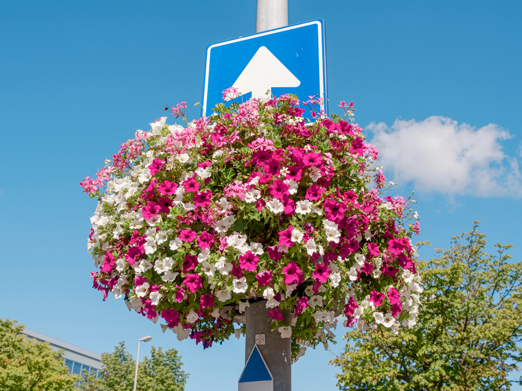 reasons-to-be-cheerful-part2