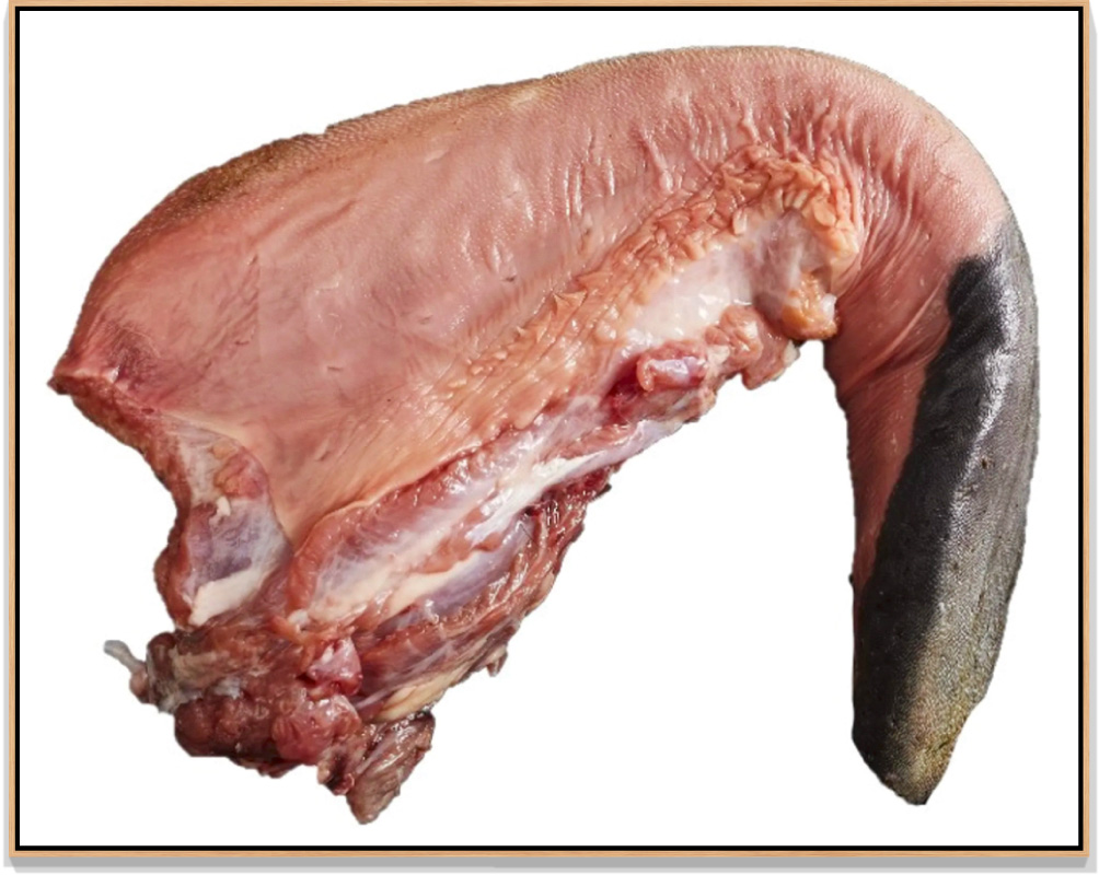 dead-meat