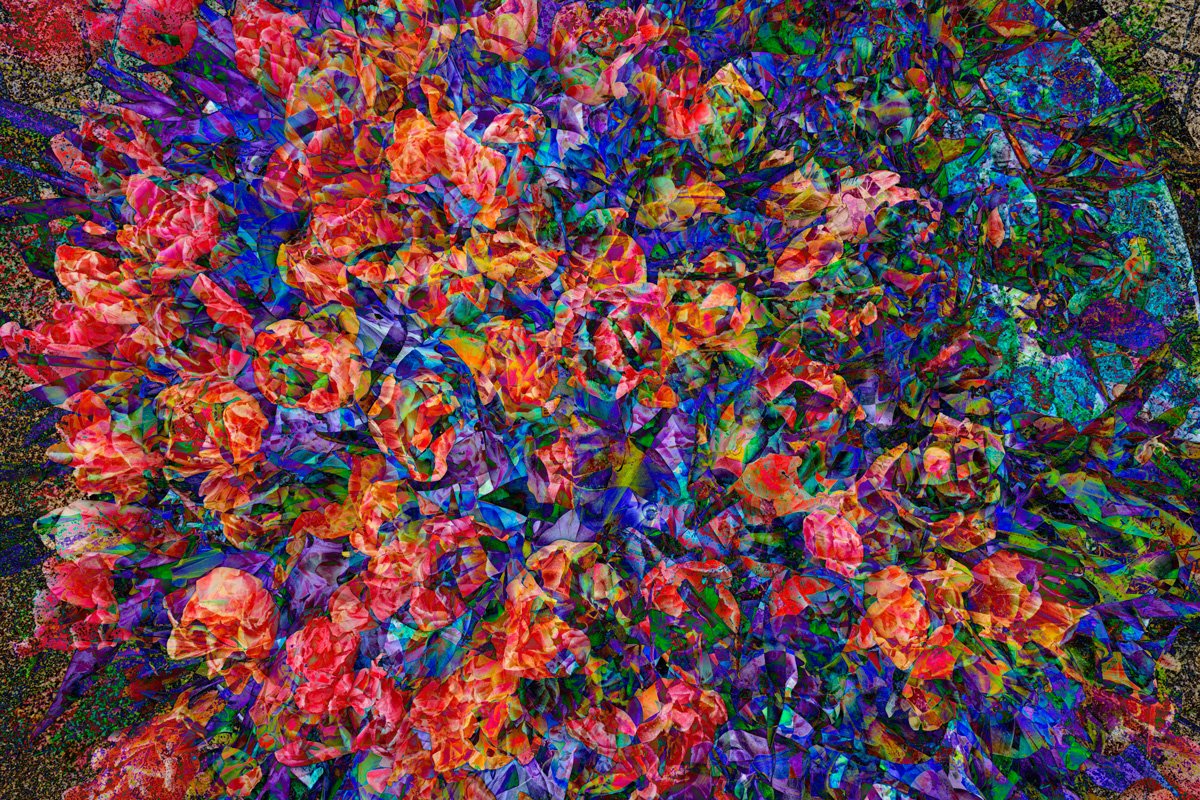 flower-photography-an-attempt-part2