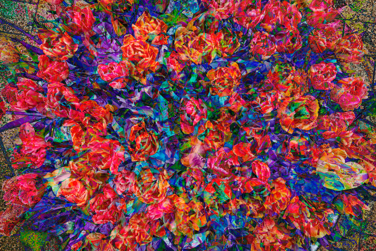 flower-photography-an-attempt-part2